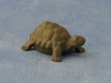 große Schildkröte large Tortoise