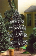 Verschneite Kiefer Nadelbaum / Snowy Pine Tree