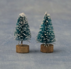 verschneite Nadelbumchen / Snowy Little Pine Trees