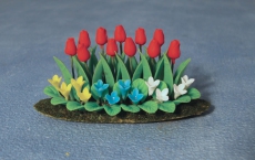 Tulpen-Beet Tulip & Bed Plants Garden