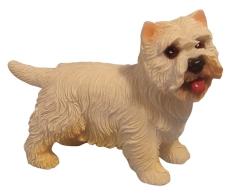 stehender Westie Standing Westie