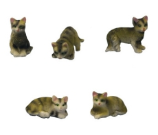 5 Tabby Cats