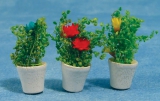 1:12 Maßstab Rot Tulpen & Bettwäsche Pflanzen in Erde Tumdee Puppenhaus Blumen 