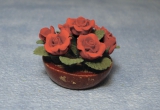 Topf mit roten Rosen Bowl of Red Roses