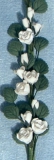 weiße Rosen String of White Roses
