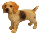 stehender Beagle Standing Beagle